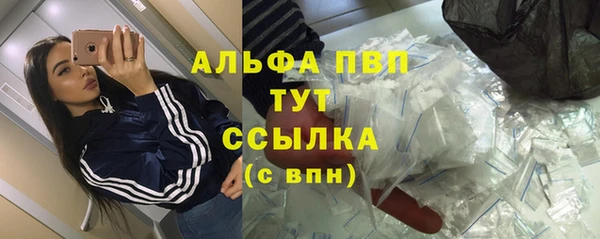 мяу мяу мука Белокуриха