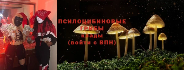 прущий лед Беломорск