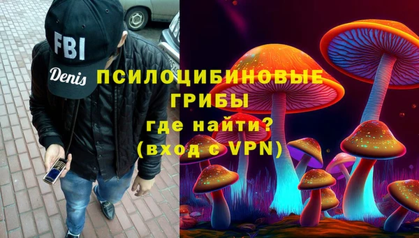 мяу мяу мука Белокуриха