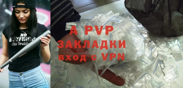 мяу мяу мука Белокуриха