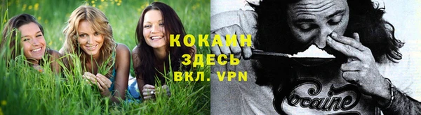 мяу мяу мука Белокуриха