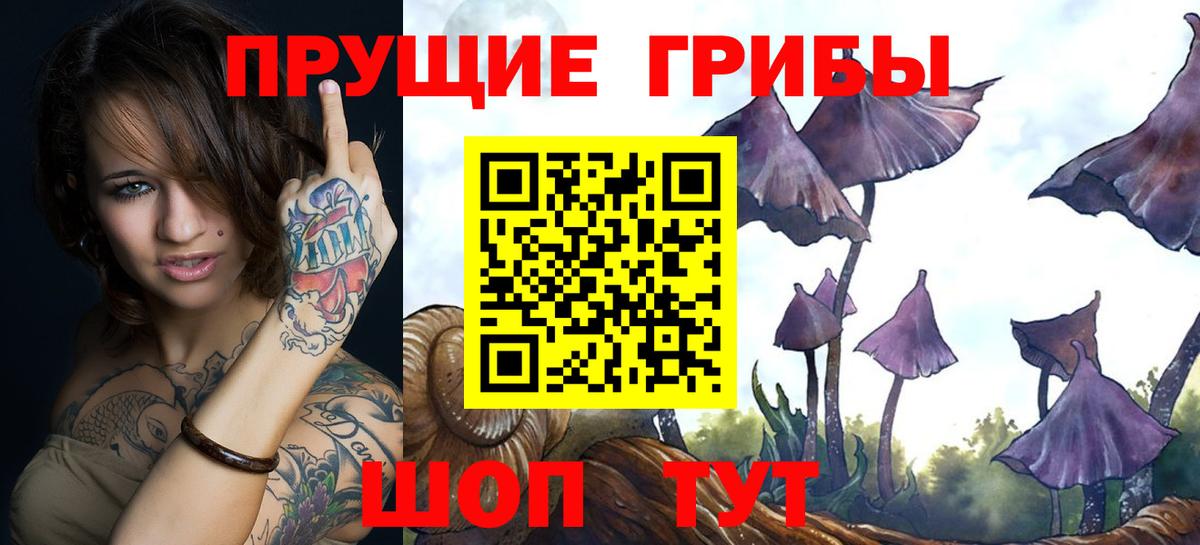 Псилоцибиновые грибы Magic Shrooms  Вход с VPN  Городец 