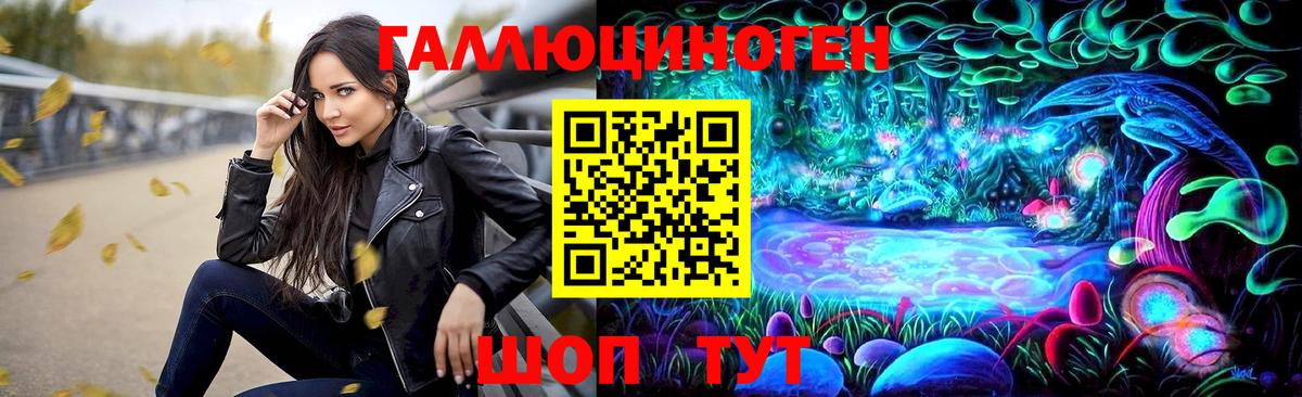 закладка  Городец  Галлюциногенные грибы Psilocybe 